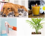 5 สิ่งภายในบ้าน ที่อาจจะทำให้เกิดอาการ คัน ได้หากไม่ทำความสะอาด