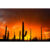 GL 24X36 SCENERY 026PM